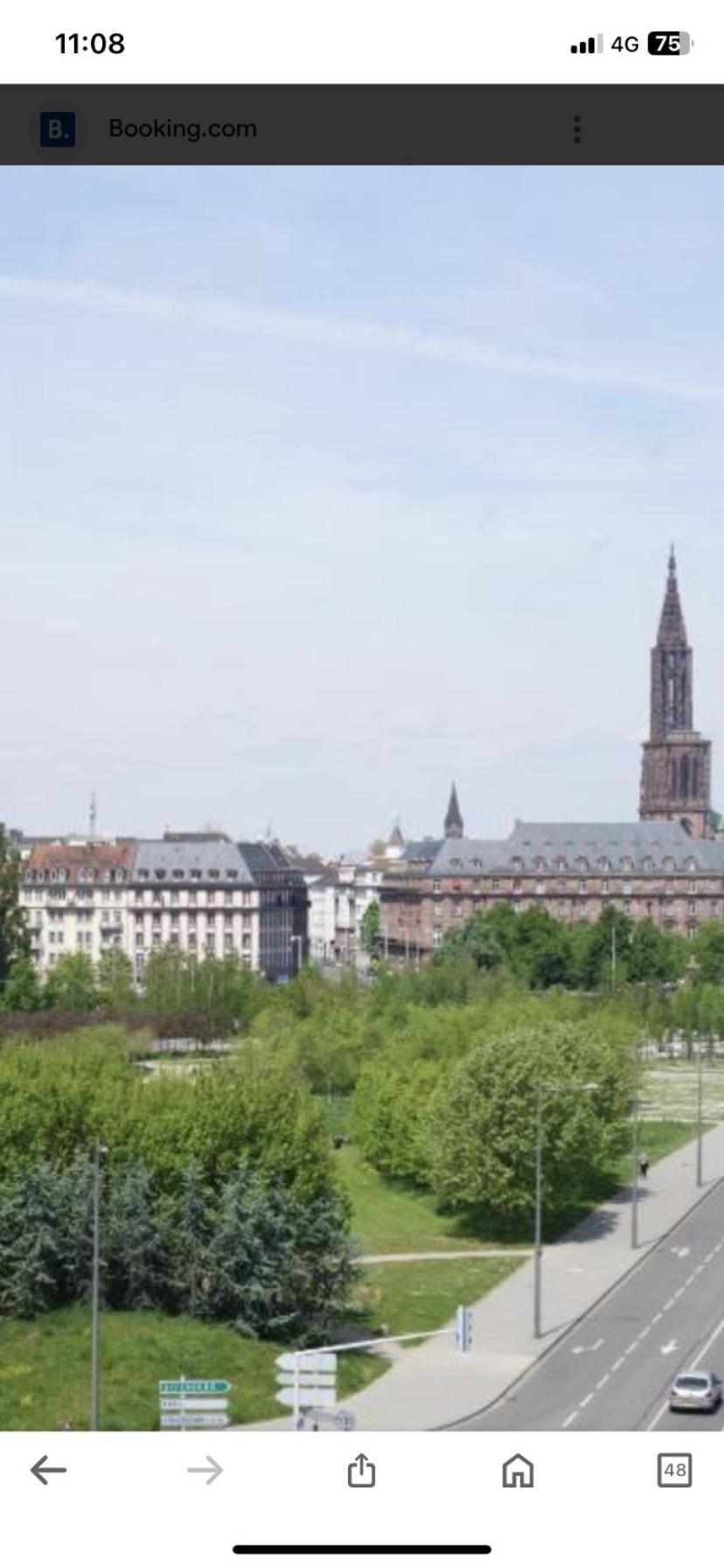 Le Carre Des Oiseaux Apartment Strasbourg Exterior foto